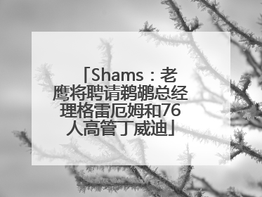 Shams：老鹰将聘请鹈鹕总经理格雷厄姆和76人高管丁威迪